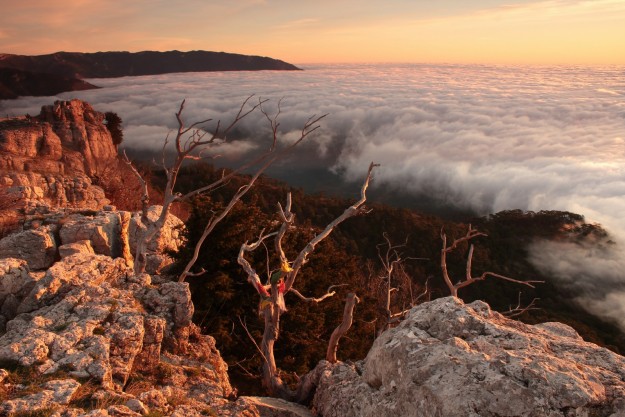 Dawn_on_cloud_nine