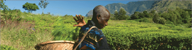 fairtrade