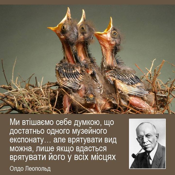 969899_563476420370620_1916884844_n