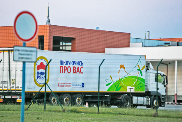 ryaba-photo