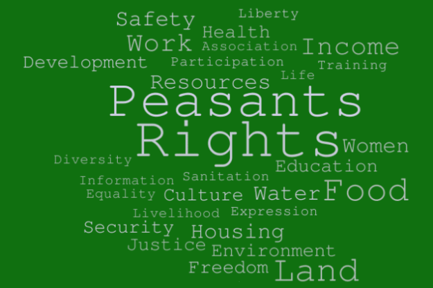 Peasants-Rights
