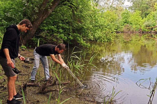 Аналіз якості води