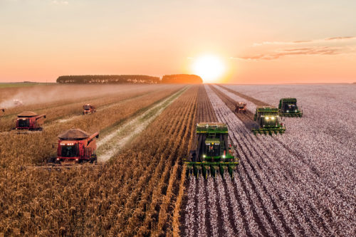 Українська Швейцарія або скільки гектарів землі орендують іноземні інвестори в Україні: інтерактивна мапа