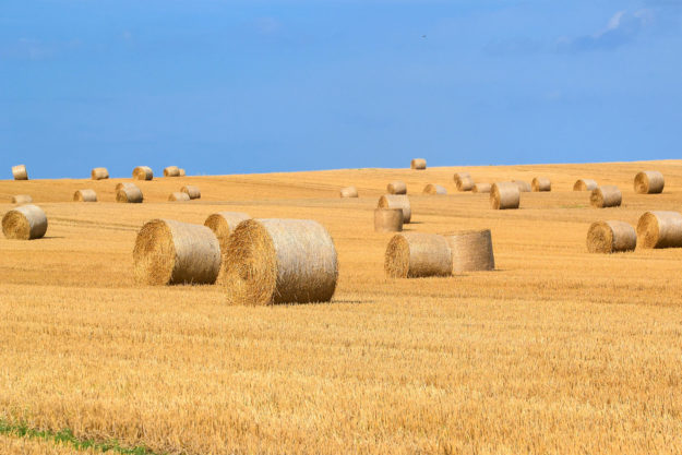 Агровиробництво vs зміна клімату: хто кого?!