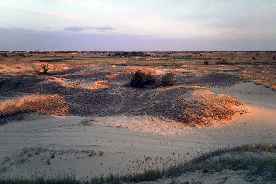 Сахара по-українськи: як не допустити опустелювання в Україні?