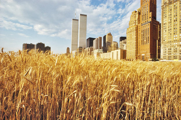 Побачити екологічну кризу: 10 мистецьких творів про те, як руйнується наша планета