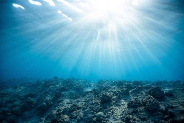 underwater-photography-of-ocean-2397651