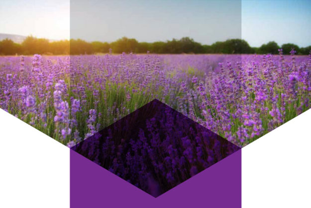 Як екологічно вирішити економічні виклики Новослобідської громади