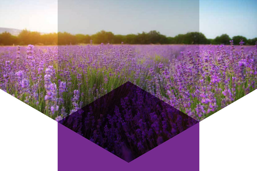 Як екологічно вирішити економічні виклики Новослобідської громади Як екологічно вирішити економічні виклики Новослобідської громади