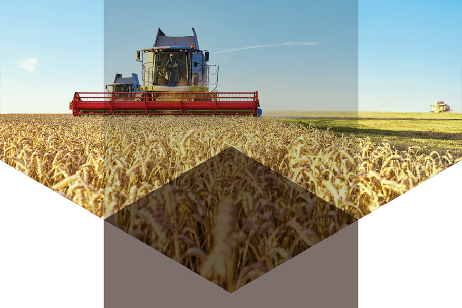 Новий клімат – нові можливості. Перспективи для розвитку Шумської ОТГ в умовах кліматичної кризи Новий клімат – нові можливості. Перспективи для розвитку Шумської ОТГ в умовах кліматичної кризи