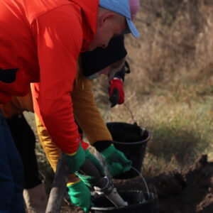 IMG_6874 IMG_6874