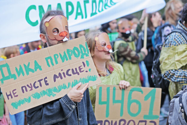 Україна долучилася до Декларації про ліси та землекористування. Чи врятує це ліси?