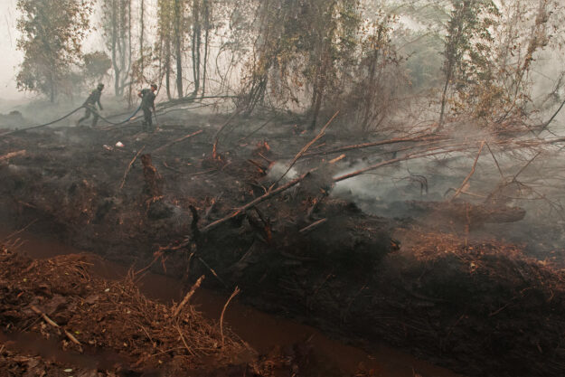 Пожежа на болоті