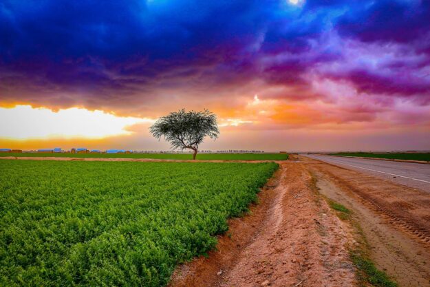 До яких наслідків зміни клімату Україні адаптуватися: дослідження Світового банку