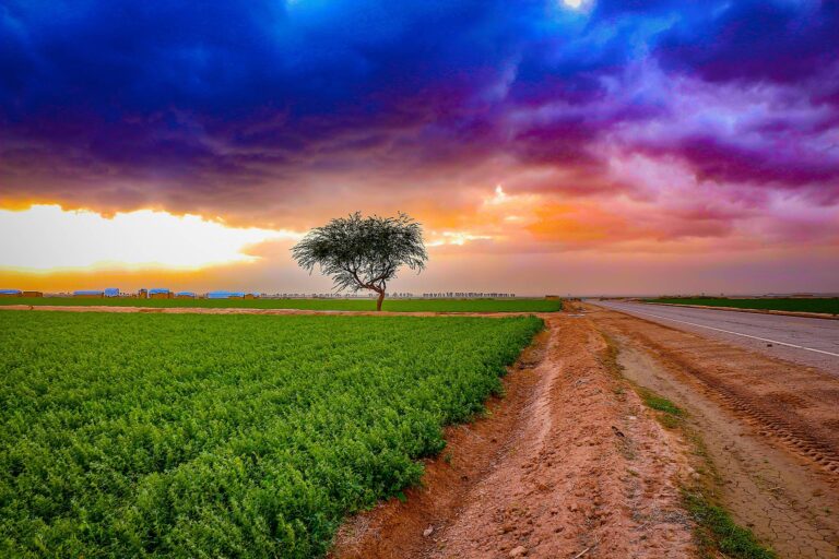 До яких наслідків зміни клімату Україні адаптуватися: дослідження Світового банку