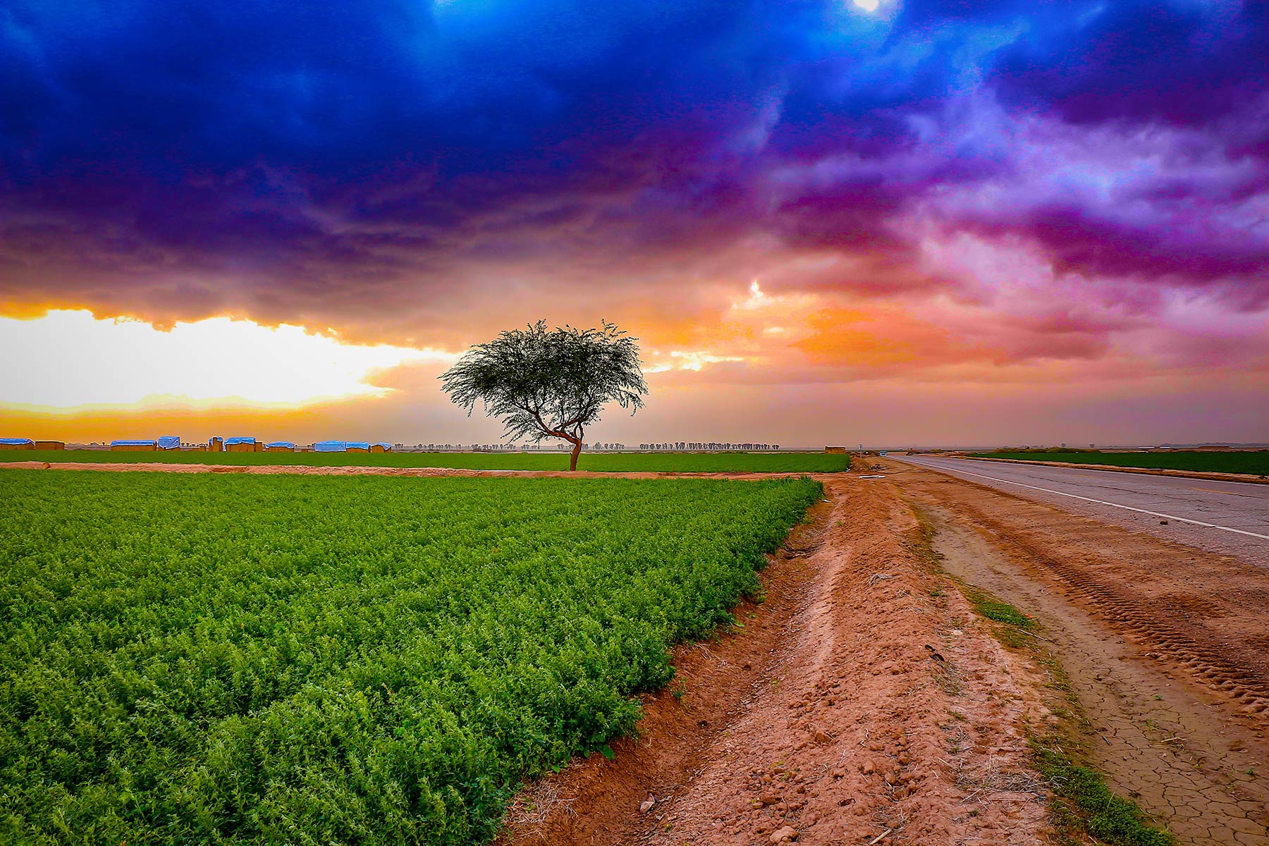 До яких наслідків зміни клімату Україні адаптуватися: дослідження Світового банку До яких наслідків зміни клімату Україні адаптуватися: дослідження Світового банку