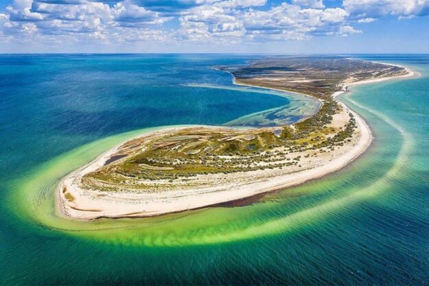 Війна і море: як бойові дії загрожують екосистемам Чорного та Азовського морів Війна і море: як бойові дії загрожують екосистемам Чорного та Азовського морів