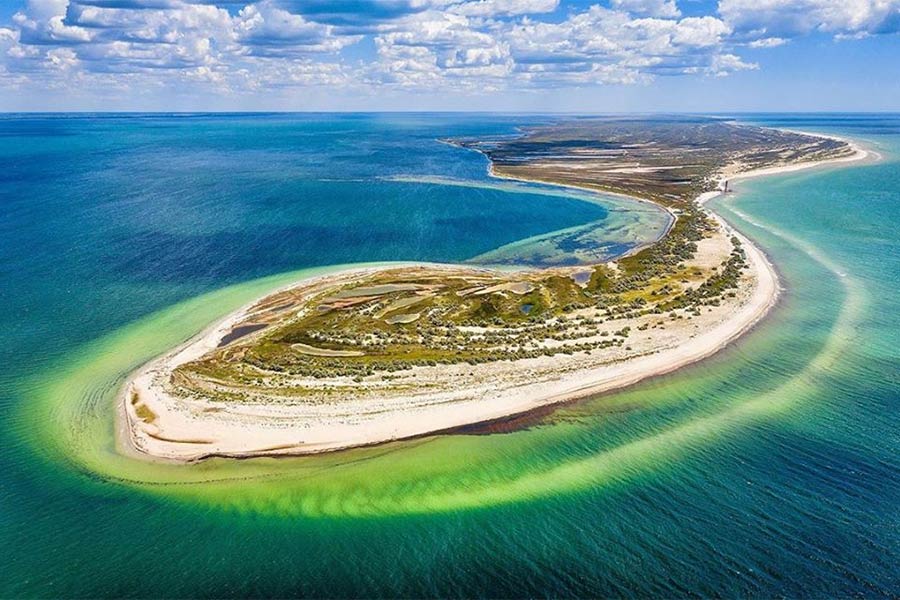 Війна і море: як бойові дії загрожують екосистемам Чорного та Азовського морів