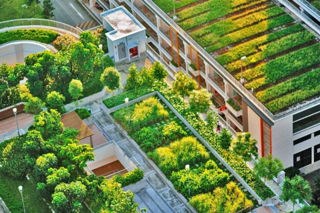 Не тільки «зелені фасади». Ось іще 11 екорішень для Києва