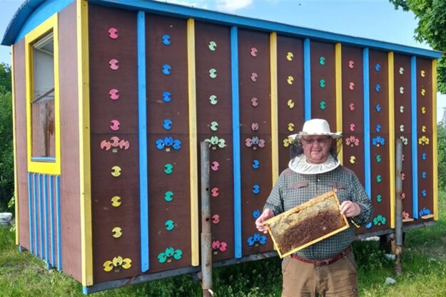 Як бджоли перевіряють аграрія на порядність або чи можуть агрохімікати бути екологічними