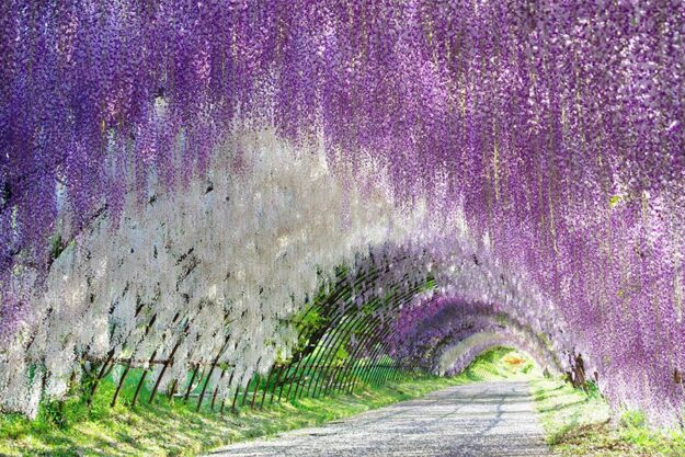 Як адаптувати місто до зміни клімату