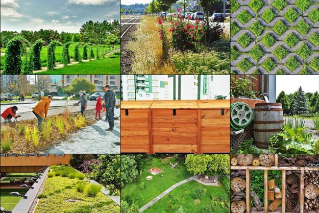 10 простих та бюджетних рішень для озеленення громадських просторів