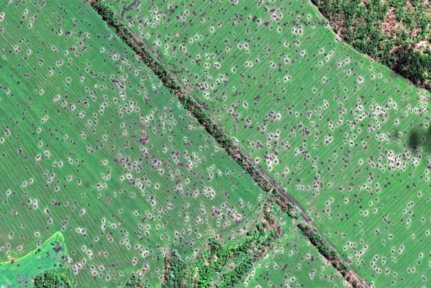 пошкоджені війною грунти