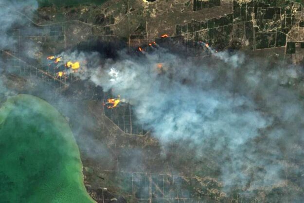 Лісові пожежі на Кінбурнській косі у вересні 2022 року. Фото – РБК-Україна.