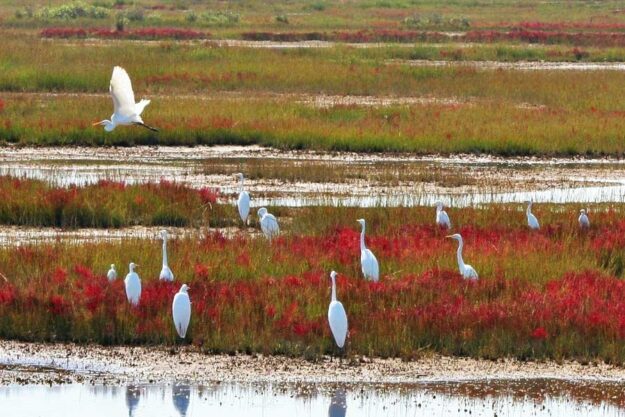 Як громади можуть відновлюватися стійкими до зміни клімату - результати чотирьох локальних проєктів