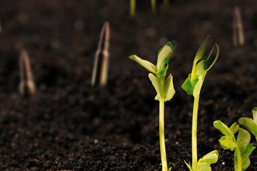 Як війна впливає на родючість ґрунтів та якість їжі? Як війна впливає на родючість ґрунтів та якість їжі?