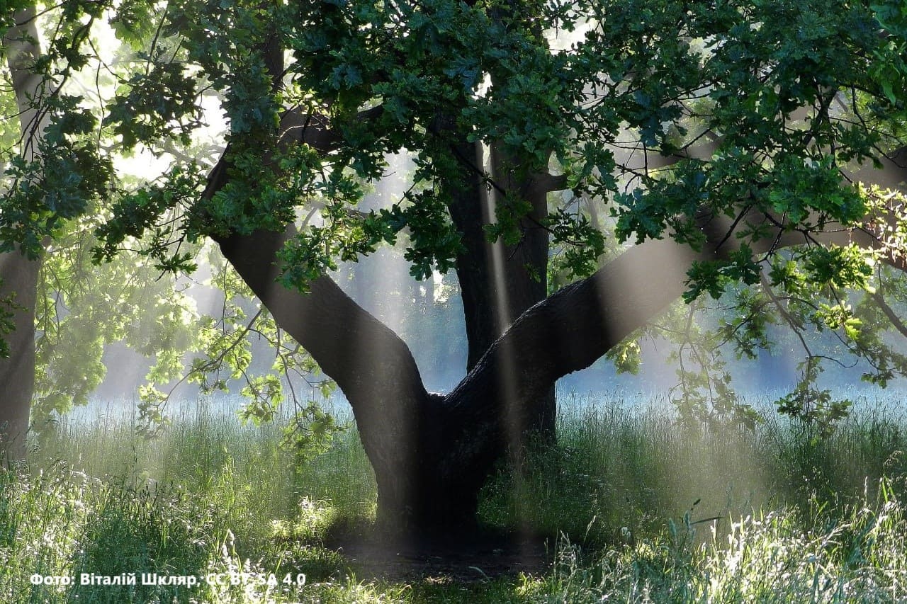 Climate-change-restoration-of-Ukraine-1