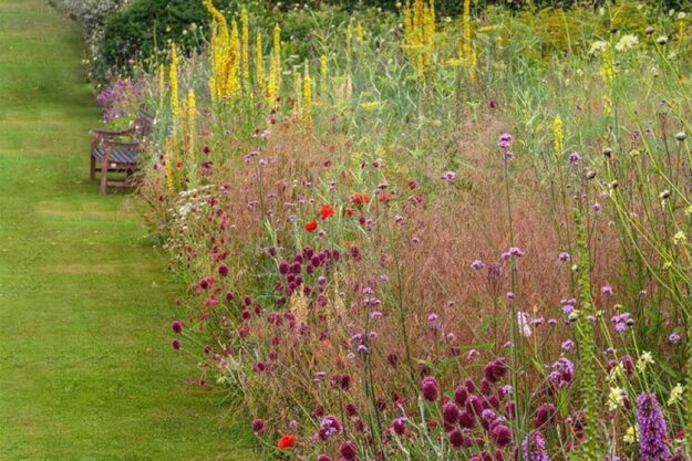 Як проходить адаптація українських міст до зміни клімату