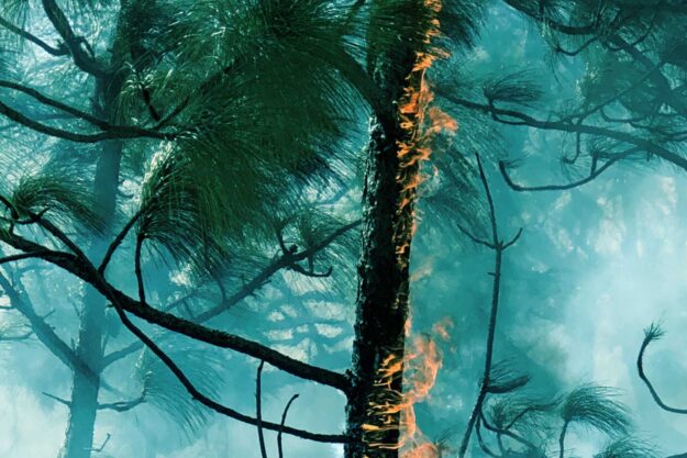 climate-damage