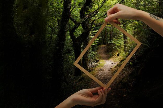 Захистити ліс інструкція