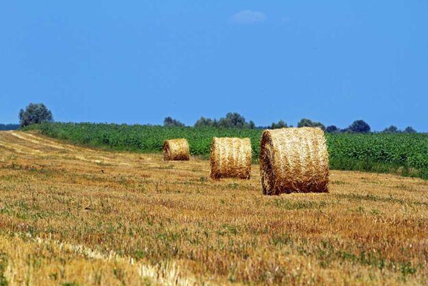 Барвінківська громада