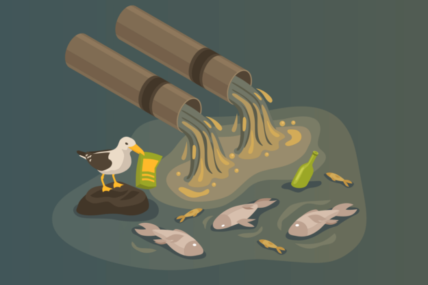 Забруднення води, мор риби