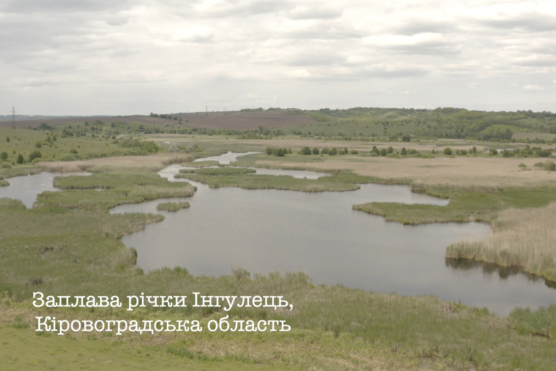web-cover