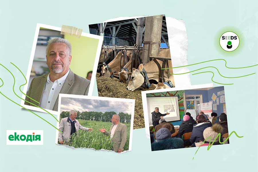 Дорадництво