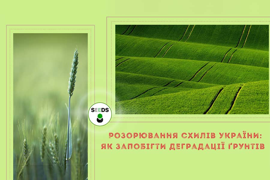 rozoruvannia-shyliv-001