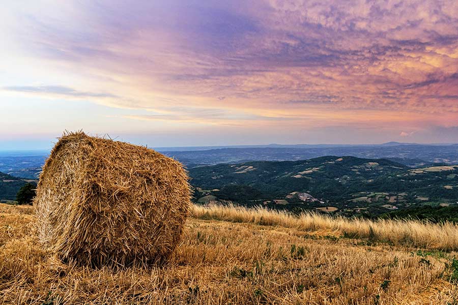 serbia-agriculture
