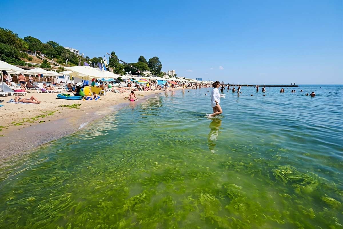 speka-odesa